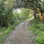 Dragonfly - Part Of The The Bay Village With Pool, Gym And Direct Access, Pub, Restaurant, Tennis And Meadows Walks Filey